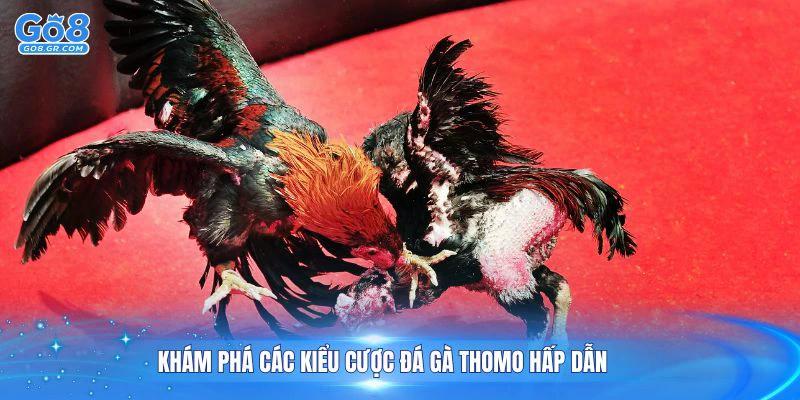 Khám phá các kiểu cược đá gà Thomo hấp dẫn